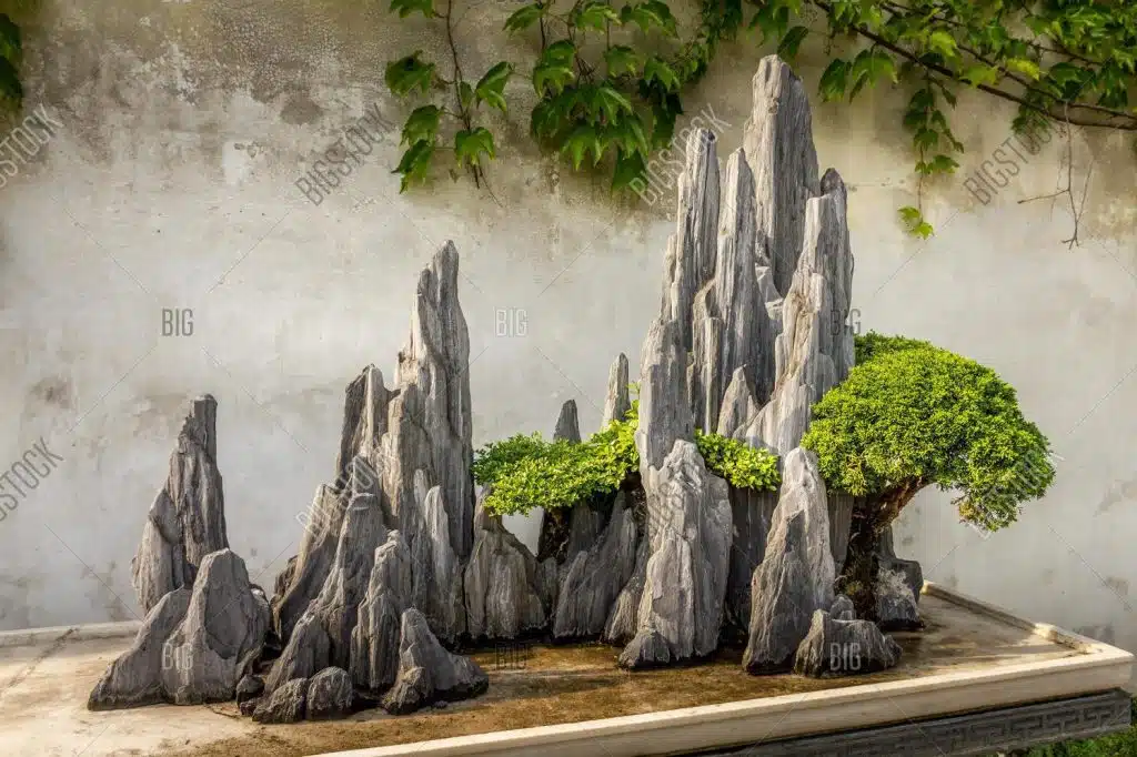 Tiểu cảnh non bộ với cây bám đá